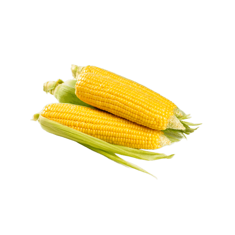 product-04