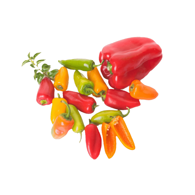 Pepper, Yellow - Image 3